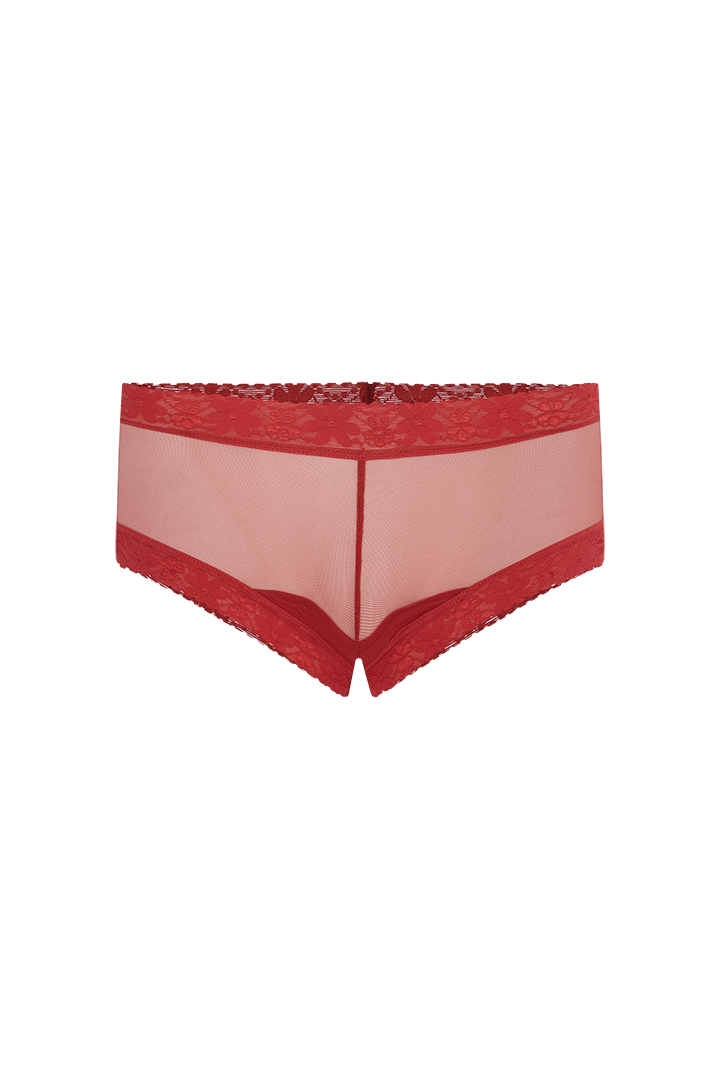 Panty cachetero (010241)