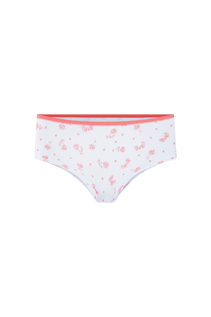 Panty hipster (6540)