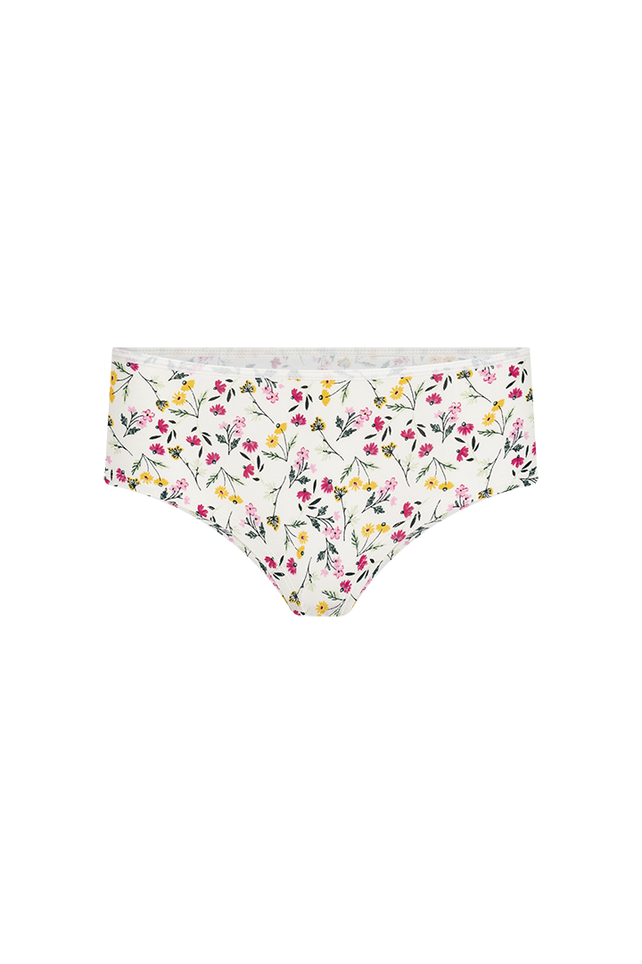 Panty hipster (6540)