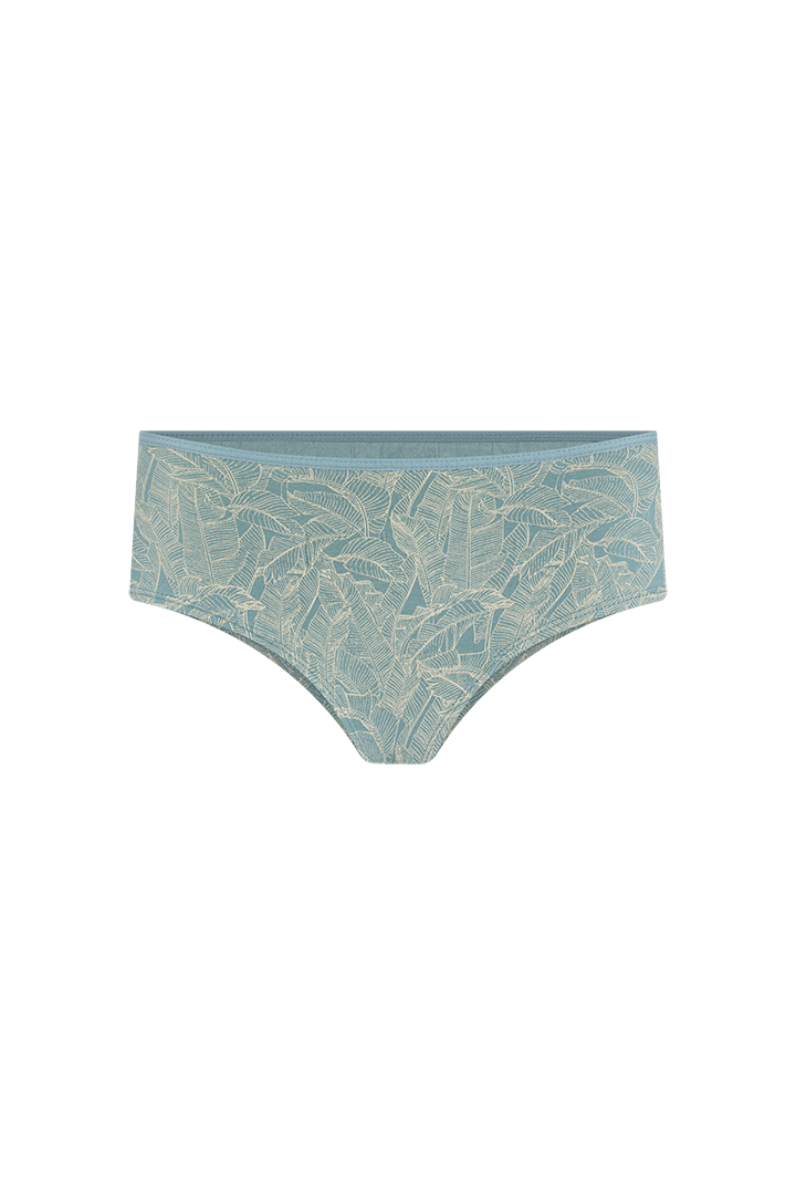 Panty hipster (6540)