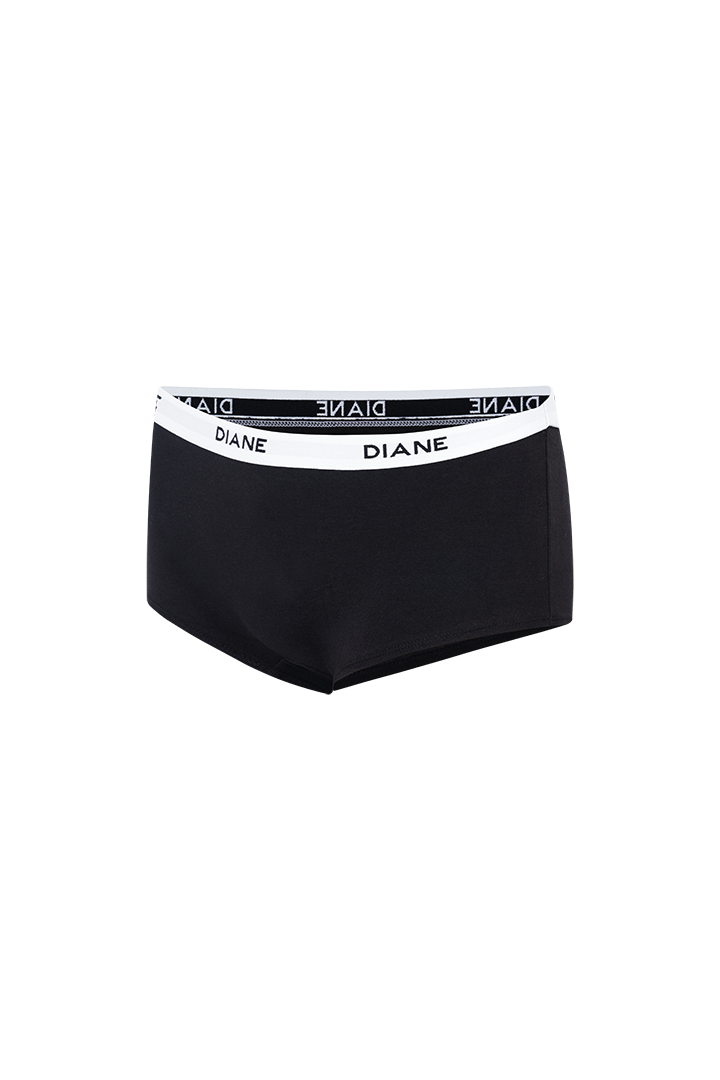 Panty cachetero (090090)