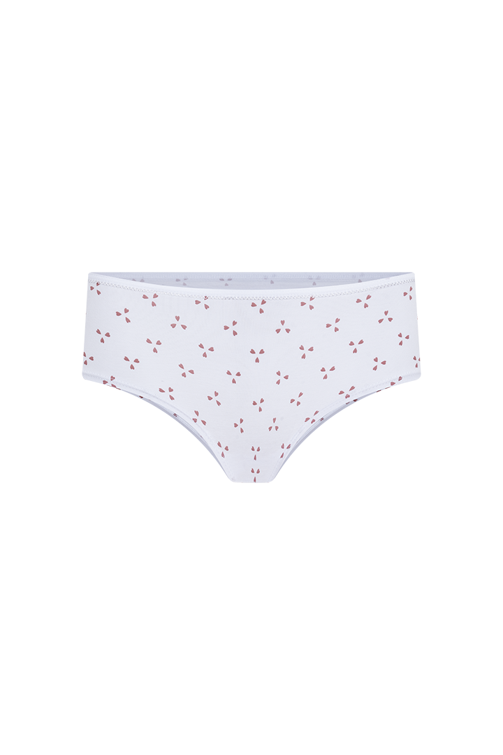 Panty hipster (6540)