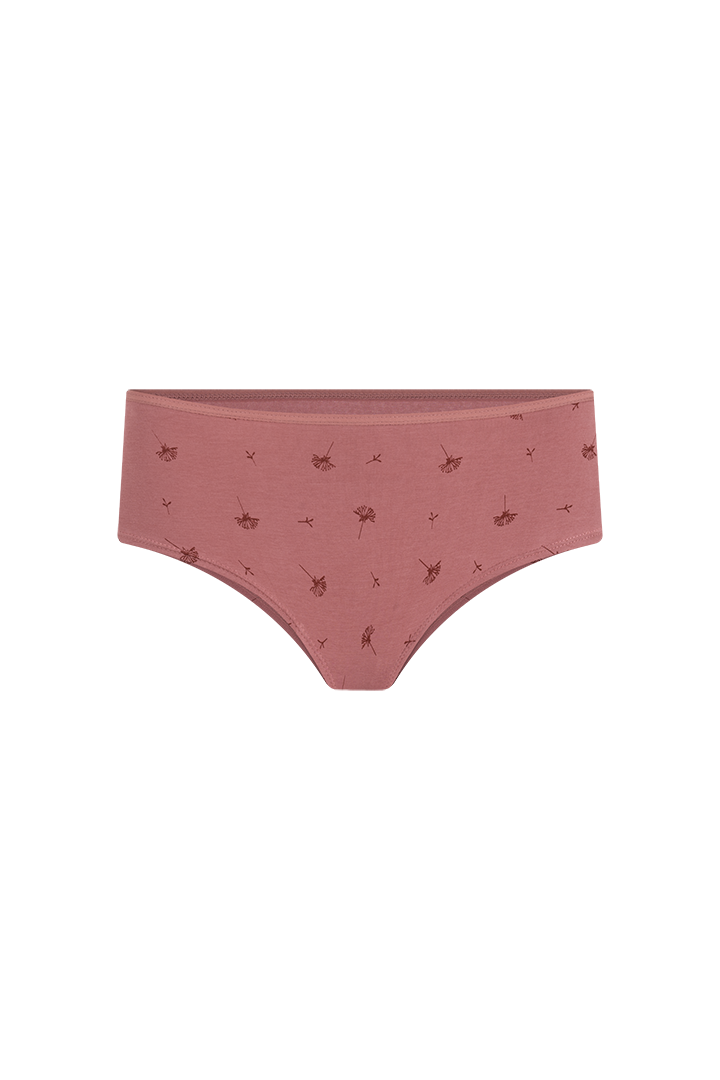 Panty hipster (6540)