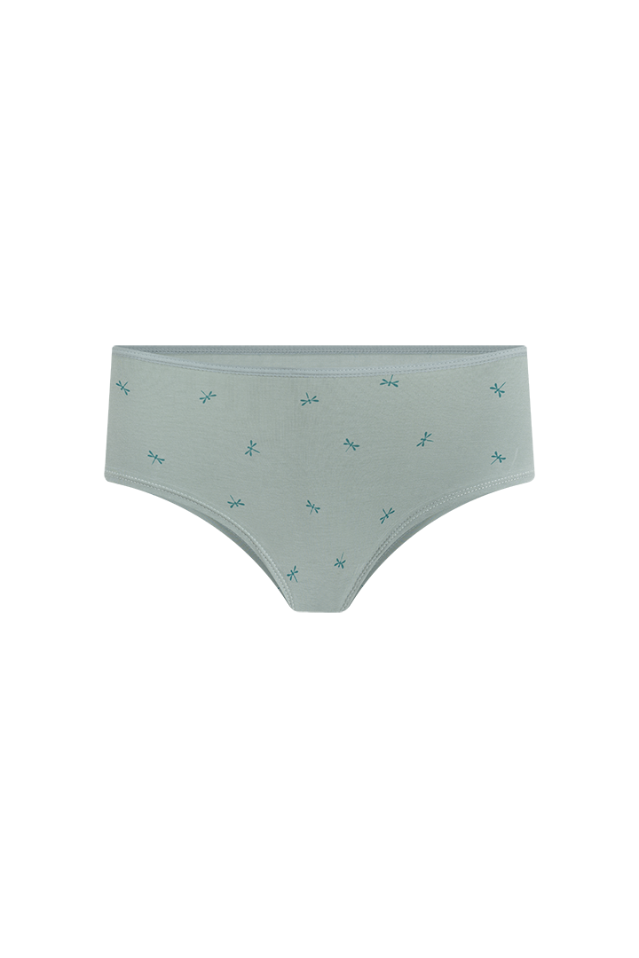 Panty hipster (6540)