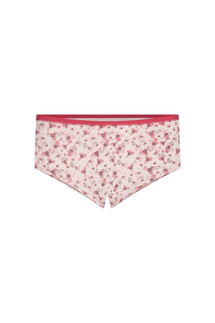 Panty hipster (6540)