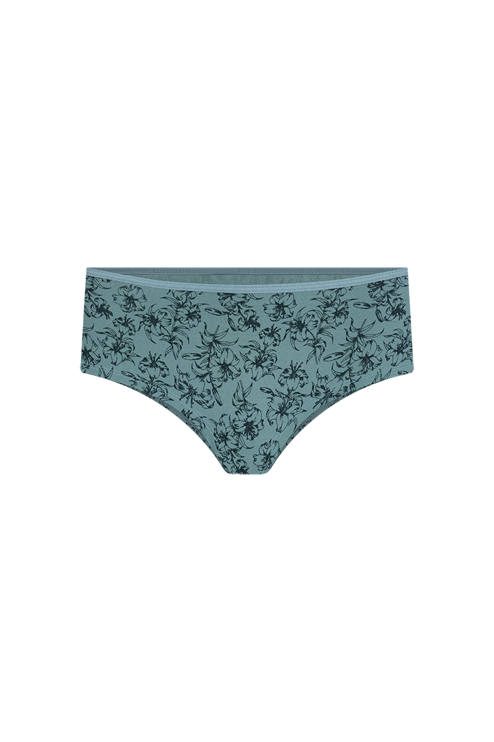 Panty hipster (6540)