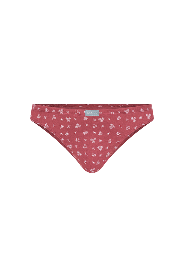 Tanga clásica (2165)